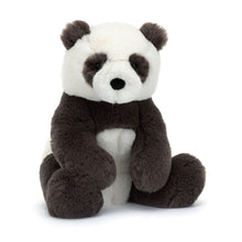 Load image into Gallery viewer, Harry Panda Plush Cub