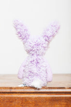 Load image into Gallery viewer, Bunny Wunny (Pink)