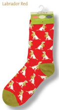 Load image into Gallery viewer, Rock Flower Paper Socks - Labrador