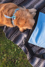 Load image into Gallery viewer, THE ICEMULE CLASSIC™ MEDIUM - BLUE